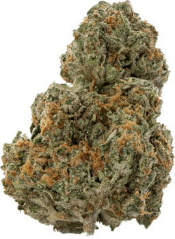 Boston Cream